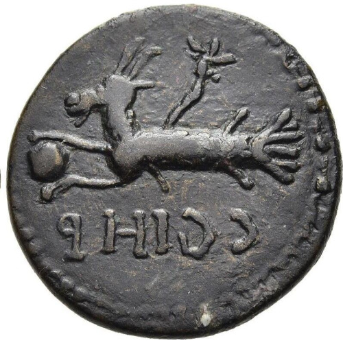 cn coin 65835 reverse