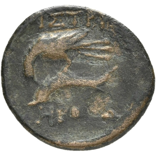 cn coin 65875 reverse