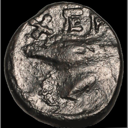 cn coin 66472 reverse