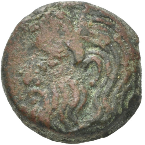 cn coin 67005 obverse